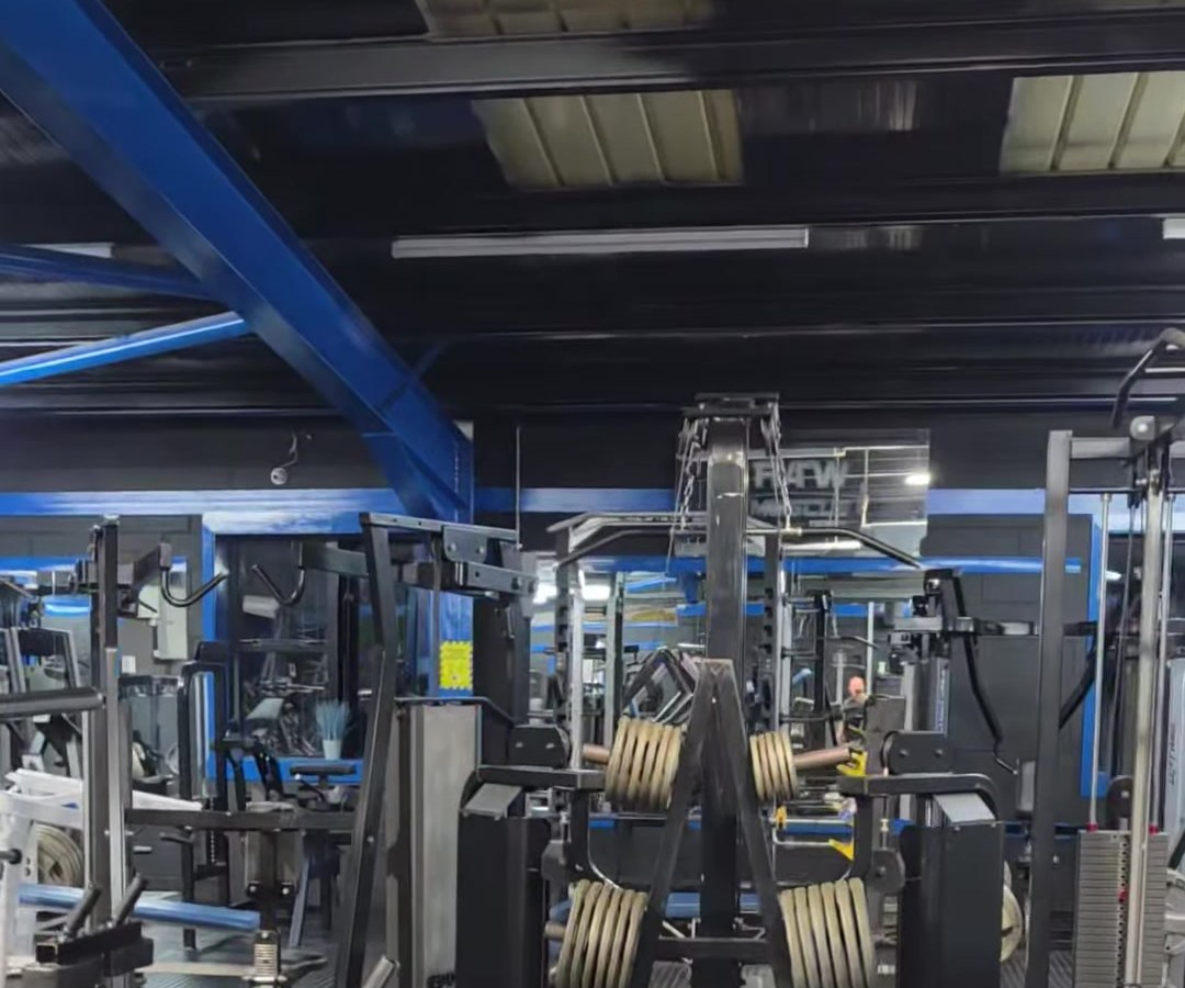 Rows of plate-loaded machines and plate trees under the blue steel beams